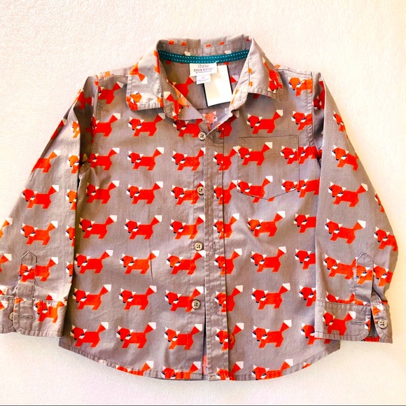 Tori Spelling Little Maven Boys Longsleeves Sz 4Y - Picture 7 of 8